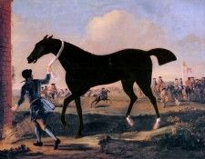 Wootton John The Duke Of Rutlands Bonny Black Held By A Groom At Newmarket. , 