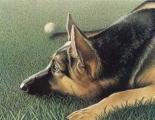 IS1 134 Barbara Banthien 03. Banthien, �������