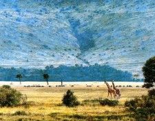 Ae 25 Mara Plains Simon Combes sqs. , 