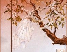 43688. ����, ����