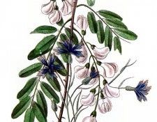 Barbara Milo Ohrbach - A Token of Friendship 08, De. Ohrbach, ������� Milo