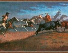 cr JustinWells-04-Stampede. , 