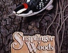 zFox SDC 167 IS09 Paul Blakey 06. ������, �����