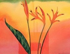 bs-flo- Sara Steele- Christinas Flowers. , 