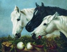  .    (1817-1898)