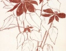 43977. Cathelin 