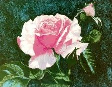 DustonBess-Rose-sj. Duston, 