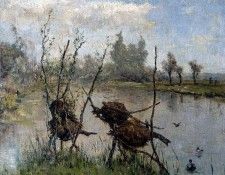 Gabril Paul Ducks decoy Sun . ,   