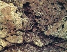 art 749. ������, �����