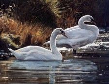 Terry Isaac - Perfect Harmony, De. �����, �����