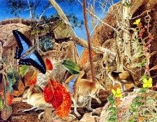 Oz AGls041 Tony Oliver Agile Wallaby. , 