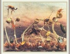 NorfleetB 22 TheGardenofEarthlyDelights-WeaSDC. Norfleet, 