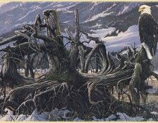 PetrellaJohn-Survival of His Kind-WeaRSCC. , 