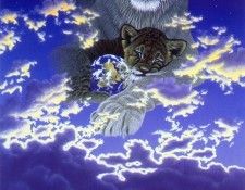 14. Schimmel, ������