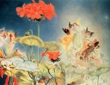 kb Naish John-The Midsummer Fairies2. Naish,  