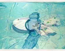 ShorrHarriet-SunlitPitcher-sj. , 