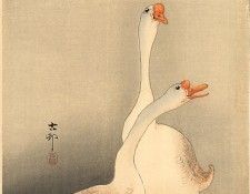 pic09360. �����