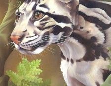 s4-vanishingspecies039-cloudedleopard. , L