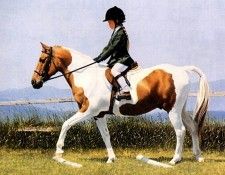 Patricia Bourque - Unknown, De. ����, ��������