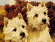 Wardle Arthur Jacque And Jean Champion Westhighland White Terriers. , 