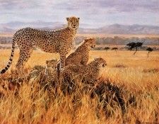 Rogers, Julia - A Vantage Point (end. ,  Noffsinger