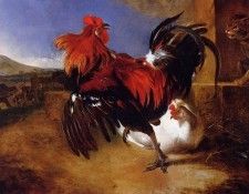 DHondecoeter Melchior Poultry yard Sun . DHondecoeter, 