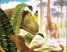 lrsD01EbelAlex-CretaceousGroup. , 