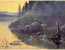 PetrellaJohn-In Mothers Care-WeaRSCC. , 