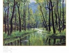 c2211 CSCU JH FOP 52 Stream in a Forest.  