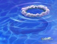 kagaya 064. �����, Joh