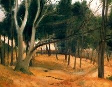 46341. �����, ����� ����