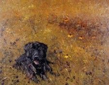 Jean-Louis Courteau - Labrador, De. Courteau, -