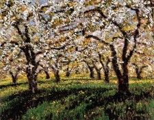 Samir Sammoun - Verger en Fleur, St-Hilaire, De. Sammoun 