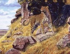 Agnew, Al - King of the Hill (end. ����, Al