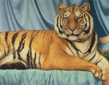 kb Palmore Tom-Sheeba. Palmore, ���