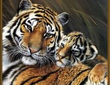 p Pollyanna Pickering Cal2001 05. ��������, ���������