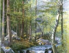 05207. Haseltine, ������ ������