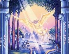 Stephen Bradbury The Chronicles Of Manyshaped - Xxx 1343 . ��������, ������