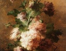 Roosenboom Margaretha Poppies Sun. Roosenboom, 