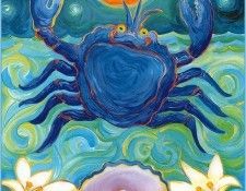 pa ShellyBartek 07 Cancer. Bartek, �����