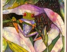 ErlundBeth-Red-eyedTreeFrog-sj. Erlund, 