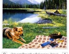 A Mountain Alphabet 0017 Q AndrewKiss sqs. �������, ������