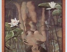 43675. �������, ���