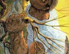 33909. Covili, �����