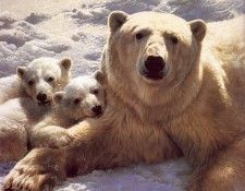 lrs Benders Carl Motherof Pearls. �������, ����