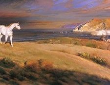 Shanks Nelson Catalina. �������, �������