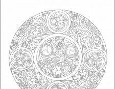 xlr8 cp cd25. �����, ������