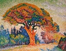 Signac Paul Pine trees in Saint Tropez . �������, �����
