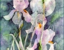 lrsSeabournConnie-TheRootPeople. Seabourn, �����