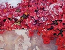 Annie Ferder - Bougainvillea, De. Ferder, ����